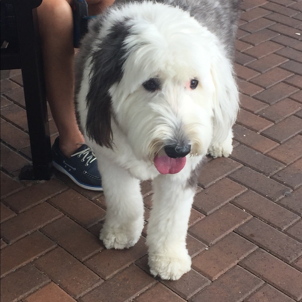 Meet your Posher, Taylor